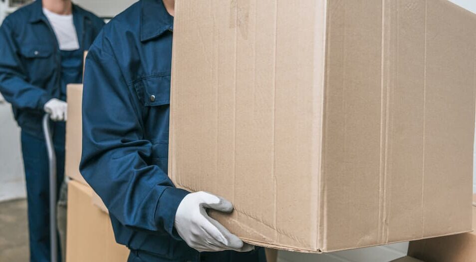 professional relocation service provider