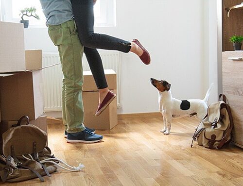 5 Tips for Moving With Pets